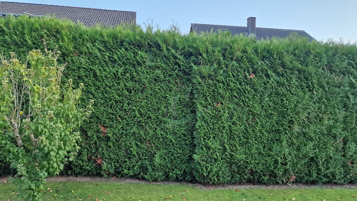 Terrassen- und Wegebau aus Naturstein