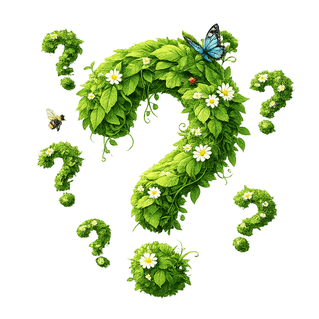 Illustration häufig gestellter Fragen zur Gartengestaltung