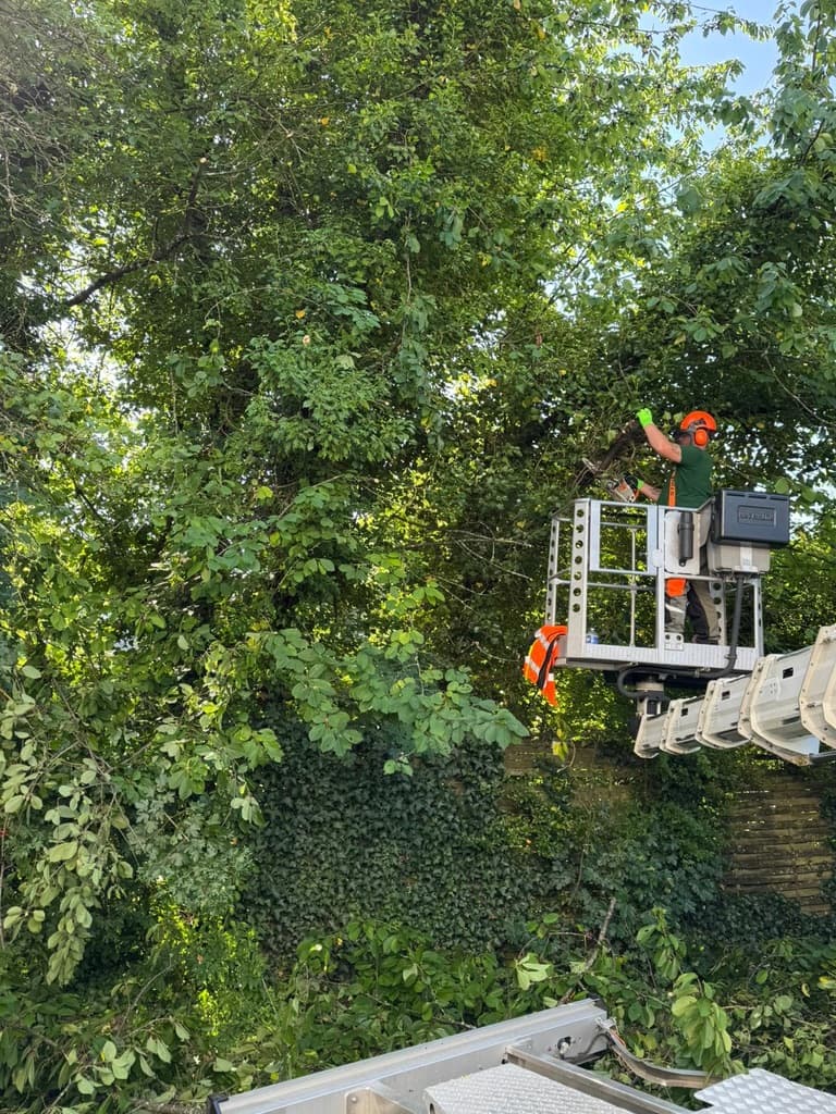 Gartenumgestaltung – Nachher